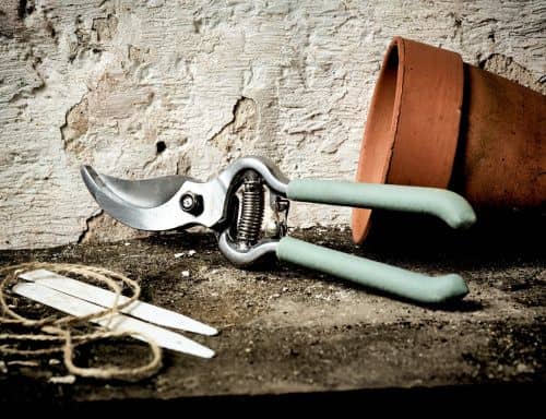 Купить Секатор Briers Honeysuckle по низкой цене