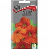 Купить Настурция большая Оранжевый блик по низкой цене