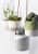 подвесное кашпо dip indoor pots collection burgon & ball Купить Подвесное кашпо Dip Indoor Pots Collection Burgon & Ball по низкой цене