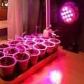 Купить Лампы для рассады по низкой цене