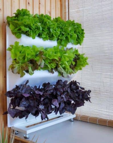 Купить Вертикальная грядка BOXSAND на подоконнике 60х60 см, 12 растений, комплект по низкой цене