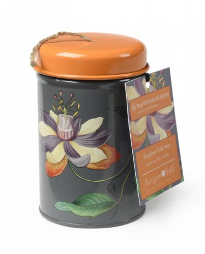 Купить Шпагат Burgon & Ball Passiflora джутовый в декоративном контейнере по низкой цене