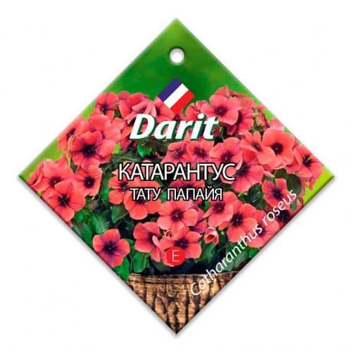 Купить Семена Darit Катарантус Тату Папайя, 7 шт по низкой цене
