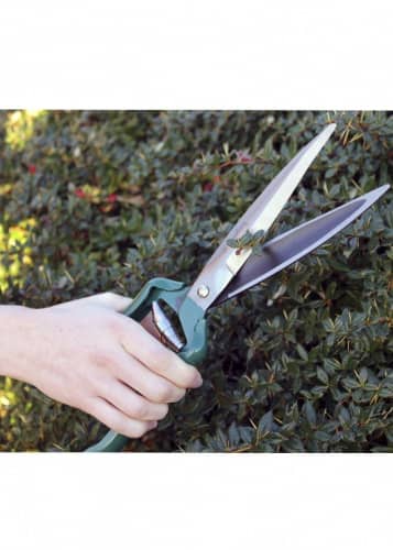 Купить Ножницы для стрижки кустов Burgon & Ball по низкой цене