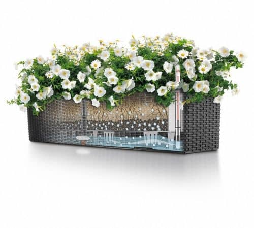 Купить Кашпо Lechuza Balconera Cottage 80 см по низкой цене
