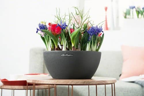 Купить Кашпо Lechuza Cubeto Color 30 см по низкой цене