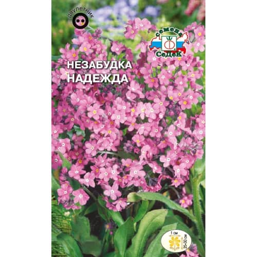 Купить Незабудка Надежда 0,1 г Седек по низкой цене