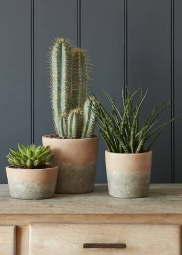 Купить Кашпо из терракоты Indoor Pots Collection Burgon & Ball по низкой цене
