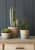 Купить Кашпо из терракоты Indoor Pots Collection Burgon & Ball по низкой цене