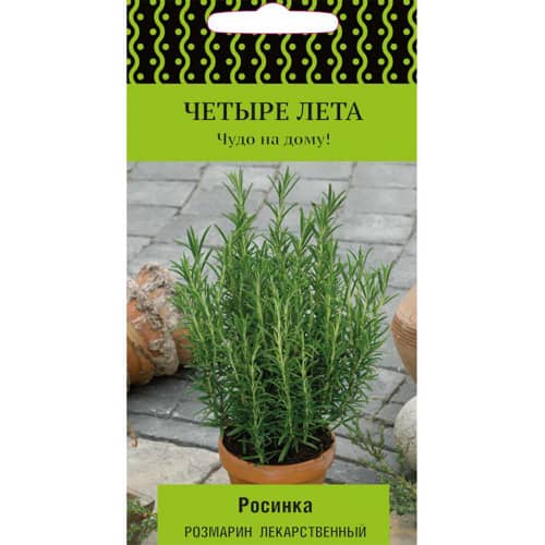 Купить Розмарин лекарственный Росинка А по низкой цене