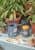 лейка для комнатных растений passiflora collection burgon & ball Купить Лейка для комнатных растений Passiflora Collection Burgon & Ball по низкой цене