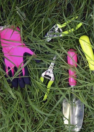 Купить Ножницы садовые флуоресцентные Florabrite Burgon & Ball по низкой цене