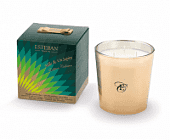 Купить Арома-свеча ESTEBAN Paris Parfums Классика 1000 и 1 ель, 500 г по низкой цене
