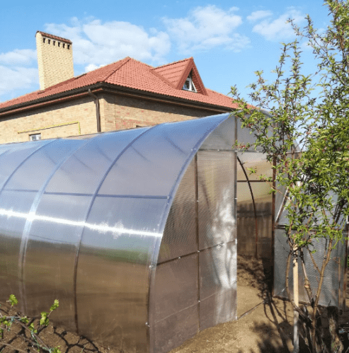 Купить Теплица Степная 4 из поликарбоната 4000х10000х2500 мм по низкой цене