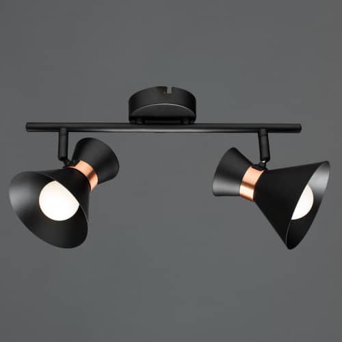 Купить Светильник Arte lamp Baltimore A1406AP-2BK по низкой цене