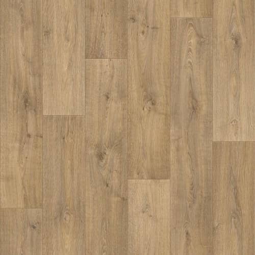 Купить Линолеум Tarkett Discovery Albert 2 по низкой цене