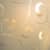светильник arte lamp ornament a3320pl-3cc настенно-потолочный Купить Светильник Arte lamp Ornament A3320PL-3CC настенно-потолочный по низкой цене