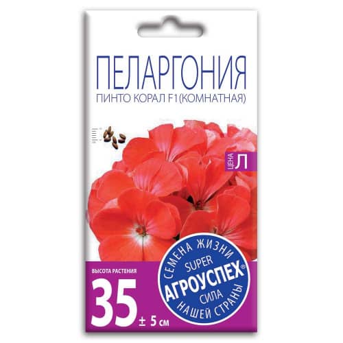 Купить Пеларгония Пинто Корал F1 4 шт по низкой цене