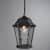 фонарь arte lamp genova a1205so-1bs подвесной уличный Купить Фонарь Arte lamp Genova A1205SO-1BS подвесной уличный по низкой цене