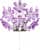 Купить Бра Globo Purple 5142-2W по низкой цене