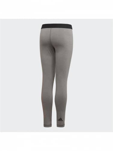 Купить Тайтсы Adidas YG BRANDED TIGH GREFOU/BLACK/CHACOR по низкой цене