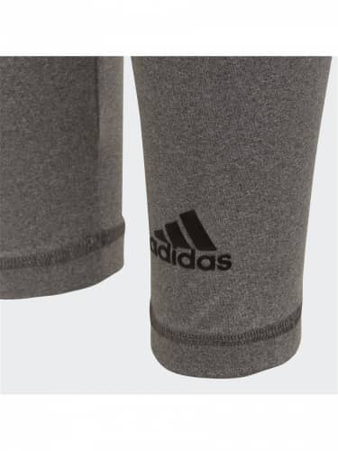 Купить Тайтсы Adidas YG BRANDED TIGH GREFOU/BLACK/CHACOR по низкой цене