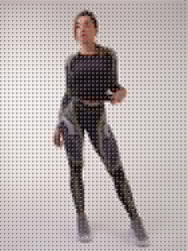 Купить Тайтсы Bona Fide Bona Classic Insect Black по низкой цене