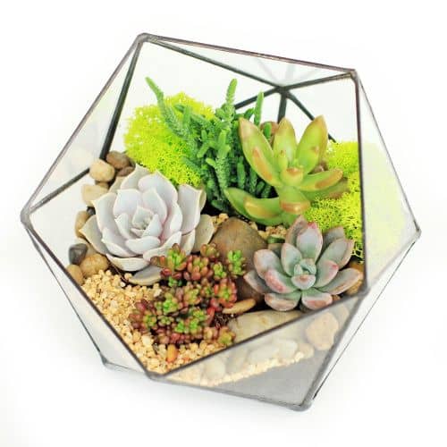 Купить Флорариум Levitera Икосаэдр мини по низкой цене