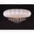 светильник st luce sl350 sl350.552.12 потолочная Купить Светильник ST Luce SL350 SL350.552.12 потолочная по низкой цене