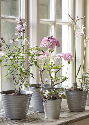 Купить Набор кашпо для цветов Sophie Conran Collection Burgon & Ball по низкой цене