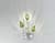 Купить Бра MM Lampadari Pigna 7098/A3 по низкой цене