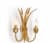 Купить Бра Eurolampart Spighe 1096/02AP 3001 по низкой цене