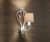 Купить Бра Masiero Allure A1 P13/DAM/12/GD-CREAM Swarovski elements по низкой цене