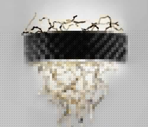 Купить Светильник IDL Groovy 463/1A Black gold по низкой цене