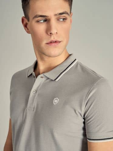 Купить Футболка-поло Piazza Italia с вышивкой серая по низкой цене