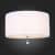 светильник st luce laconicita sl943.502.06 потолочная Купить Светильник ST Luce LACONICITA SL943.502.06 потолочная по низкой цене