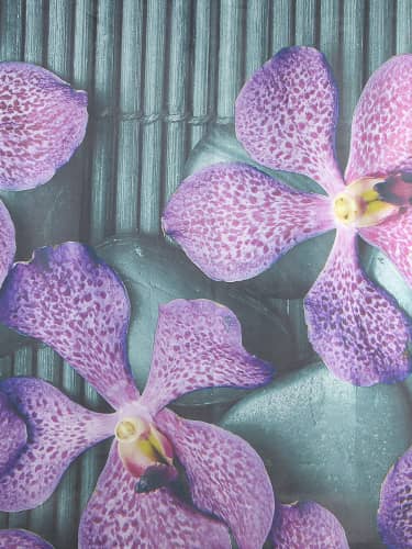 Купить Штора Доляна Камни и цветы для ванной 180x180 см по низкой цене