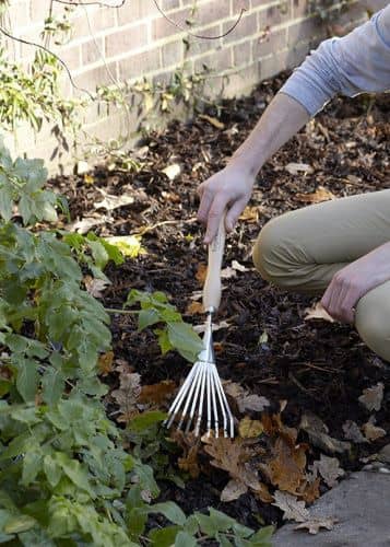 Купить Грабли Burgon & Ball веерные по низкой цене