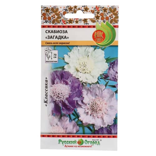 Купить Скабиоза Загадка смесь по низкой цене