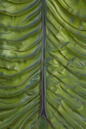 Купить Декор MHLiving Alocasia 004075 по низкой цене