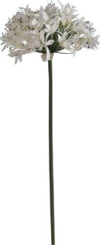 Купить Декор MHLiving Allium 004912 по низкой цене