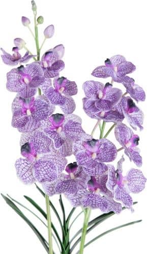 Купить Декор MHLiving Sunflower 008923 по низкой цене