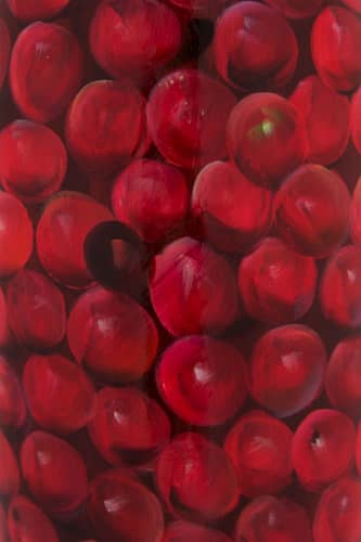 Купить Ваза MHLiving Fruit apple tall 008955 по низкой цене