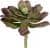 декор mhliving succulent 004868 Купить Декор MHLiving Succulent 004868 по низкой цене