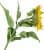 Купить Декор MHLiving Sunflower 004869 по низкой цене