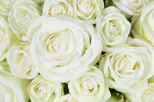 Купить Декор MHLiving Rose Ball 007829 по низкой цене