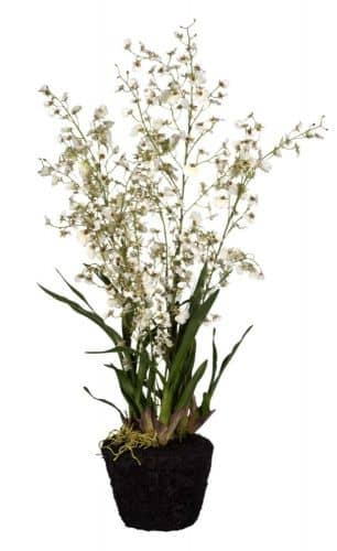 Купить Декор MHLiving Oncidium Orchid 004904 по низкой цене