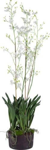 Купить Декор MHLiving Sunflower 008922 по низкой цене