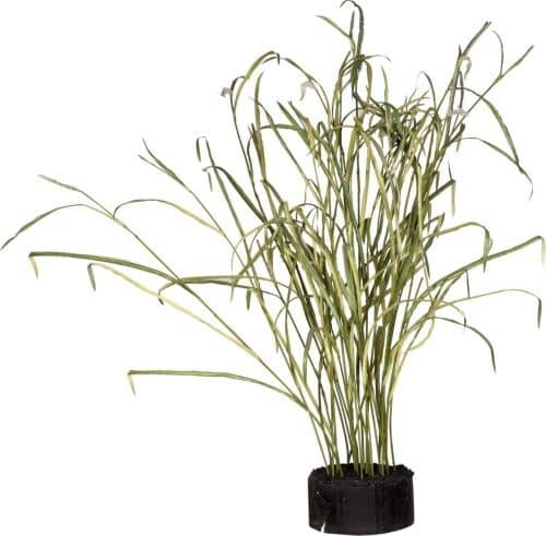 Купить Декор MHLiving Reeds and Leaves 004922 по низкой цене