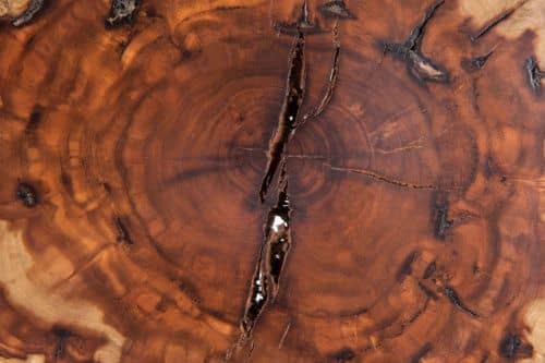 Купить Статуэтка MHLiving In The Woods silver big 000552 по низкой цене